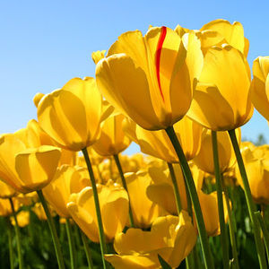 Meet your Posher, Terri